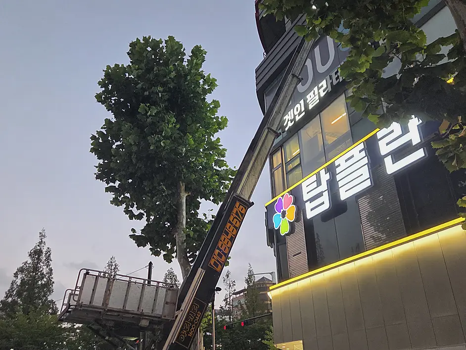 종로구 쓰레기집 청소 가격 시공 전
